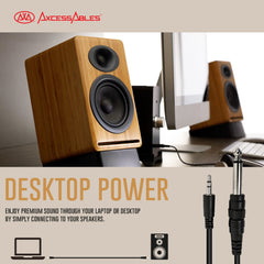 1/8-Inch TRS (Stereo) to 1/4-Inch TS (Mono) Auxiliary AUX Cable (10ft)