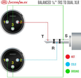 AxcessAbles 1/8 Stereo Male Mini-Jack to Dual Male XLR Audio Cable - 10ft | 1/8 TRS to Dual XLR Male Y-Splitter Cable | 3.5mm Stereo Mini-Jack Male to 2 XLR Male | AxcessAbles AXCTRS18-DXLR402M 10ft